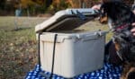 Custom 25 QT Bison Cooler - Made in USA - Custom with Company Logo - Personalized Bulk Corporate Gift - 1