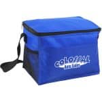 Custom Budget Cooler Bag with Company Logo - Personalized Bulk Corporate Gift - 4