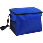 Custom Budget Cooler Bag with Company Logo - Personalized Bulk Corporate Gift - 7
