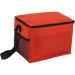 Custom Budget Cooler Bag with Company Logo - Personalized Bulk Corporate Gift - 9