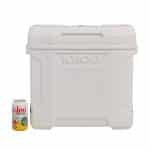 Custom Igloo Profile II® 28-quart Cooler with Company Logo - Personalized Bulk Corporate Gift - 3