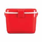 Custom Flux 4-Can / 4L Hard Cooler with Company Logo - Personalized Bulk Corporate Gift - 2