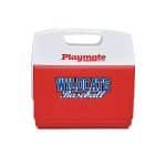 Custom Igloo® Playmate Elite Ultra 16 Qt. Cooler with Company Logo - Personalized Bulk Corporate Gift - 3