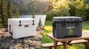 Custom YETI vs. Custom Igloo Coolers: