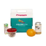 Custom 4 Qt. Igloo® Retro Playmate Mini Cooler (Dark Jade) with Company Logo - Personalized Bulk Corporate Gift - 1