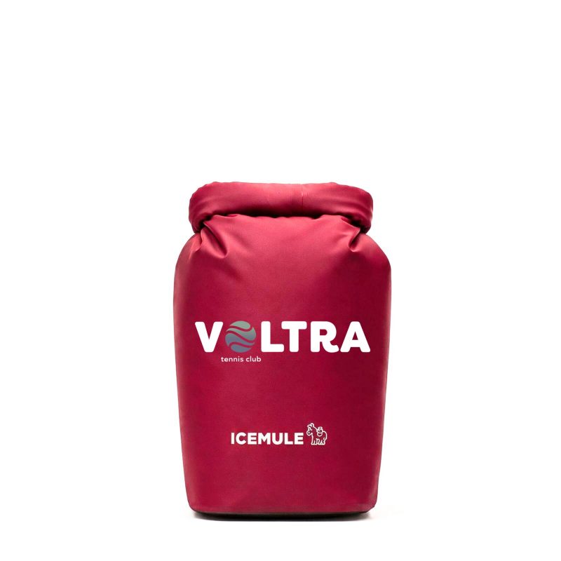 Custom ICEMULE The Classic 9L with Company Logo - Personalized Bulk Corporate Gift - 3
